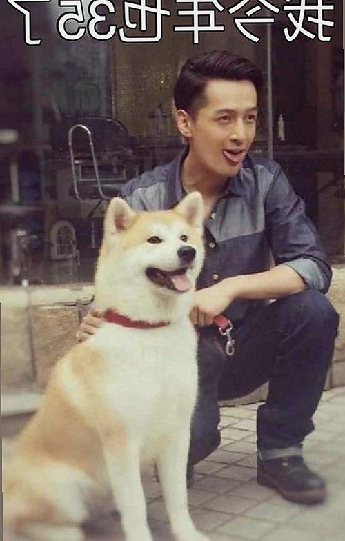 奚梦瑶：从T台魅影到豪门新主，华丽转身背后的故事✨