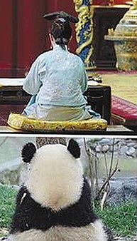 大S与汪小菲:从黄金夫妻到各自人生轨迹的理性剖析