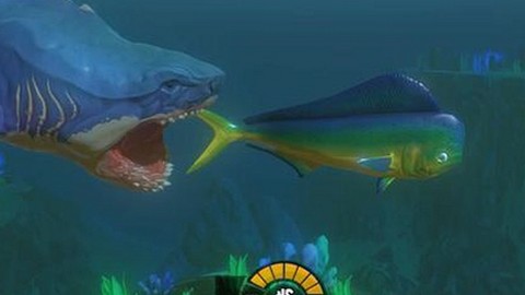 韩国明星恋情曝光与网红刘亮、娱乐吃瓜君仙子的人气崛起对比