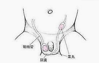 娱乐圈吃瓜风云：从明星互动到二次元爆料，热议背后的理性与趣味
