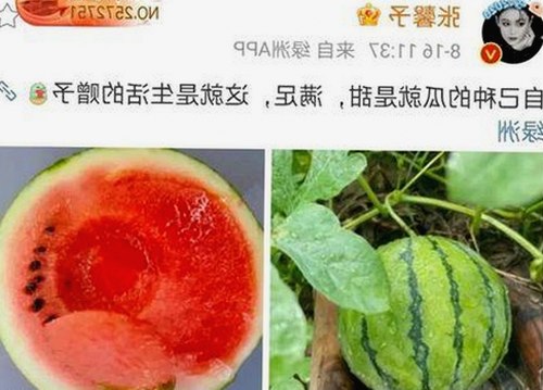 直播间热度与校园冲突形成鲜明对比：娱乐吃瓜文化的现实映照